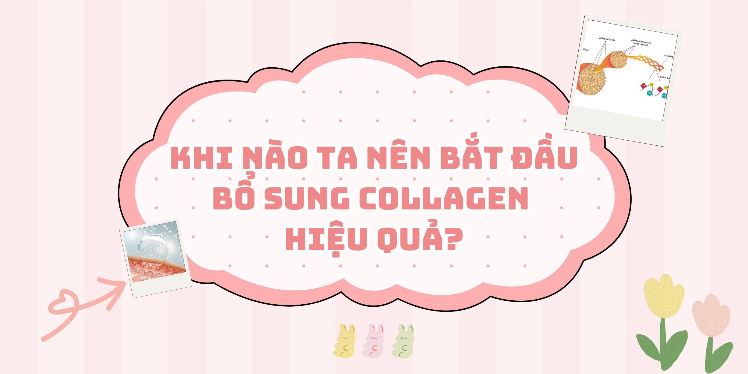 Collagen Là Gì Và Ta Cần Bổ Sung Khi Nào Mới Hiệu Quả?